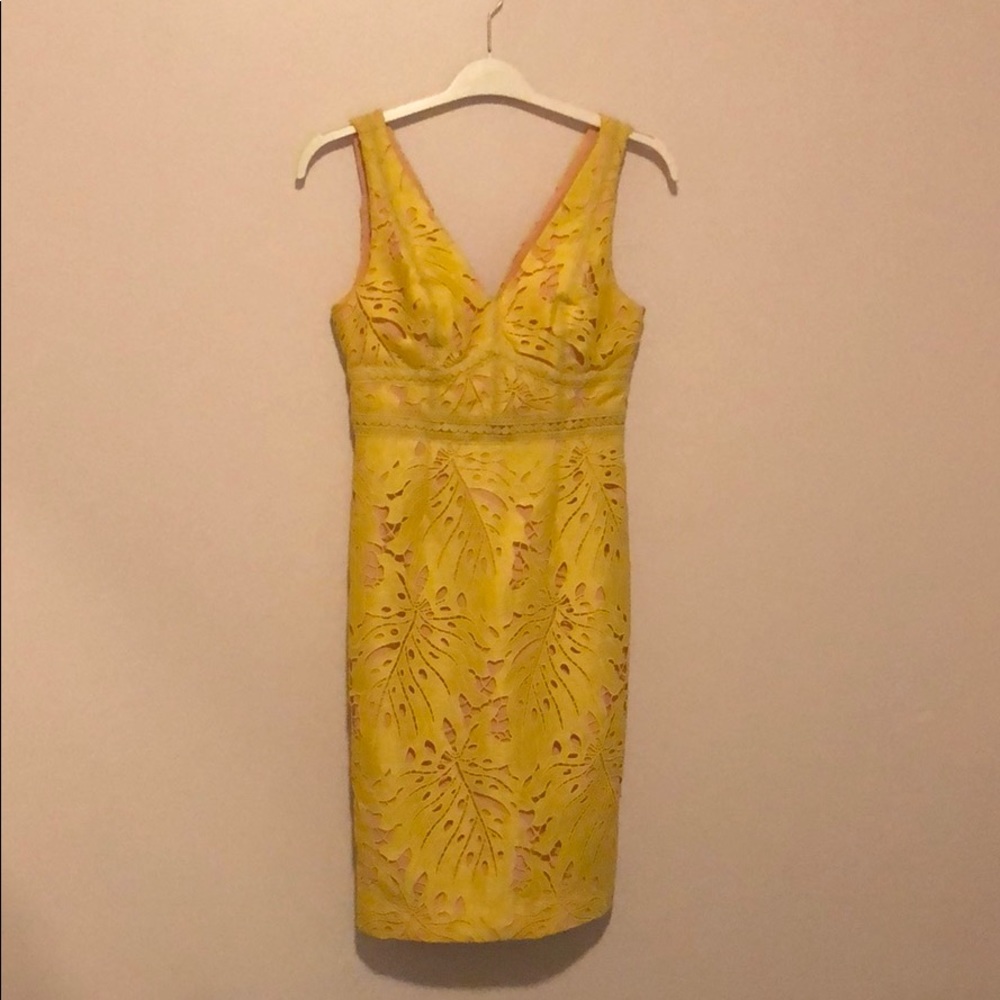 Anthropologie Maeve Gardenia Lace Dress Sz 4